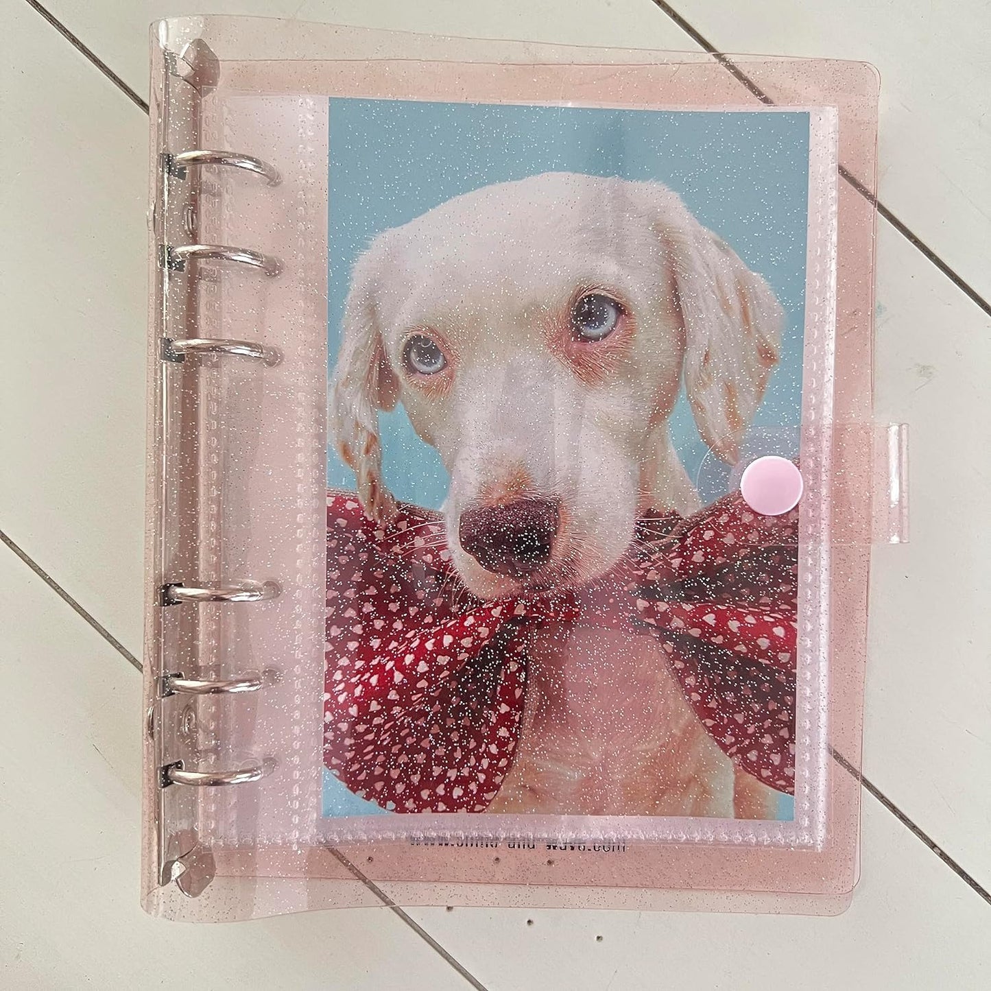 6 Ring Binder 4x6 PhotoBooth Album - BLUSH